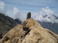 Youri - Ecrins 2005 367 